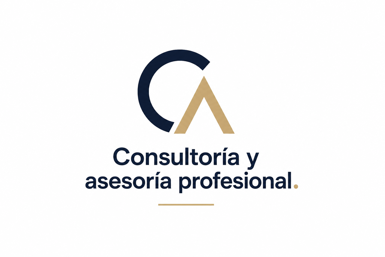 Consultor&iacute;a y asesor&iacute;a profesional